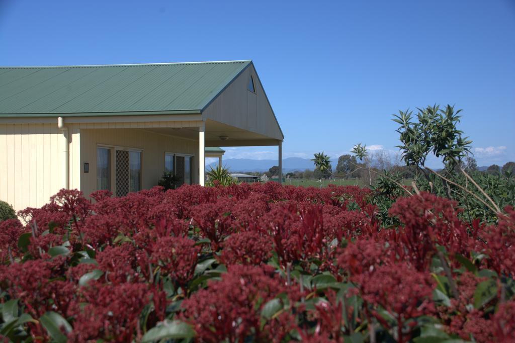 Milawa Muscat Retreat B&B Exterior photo