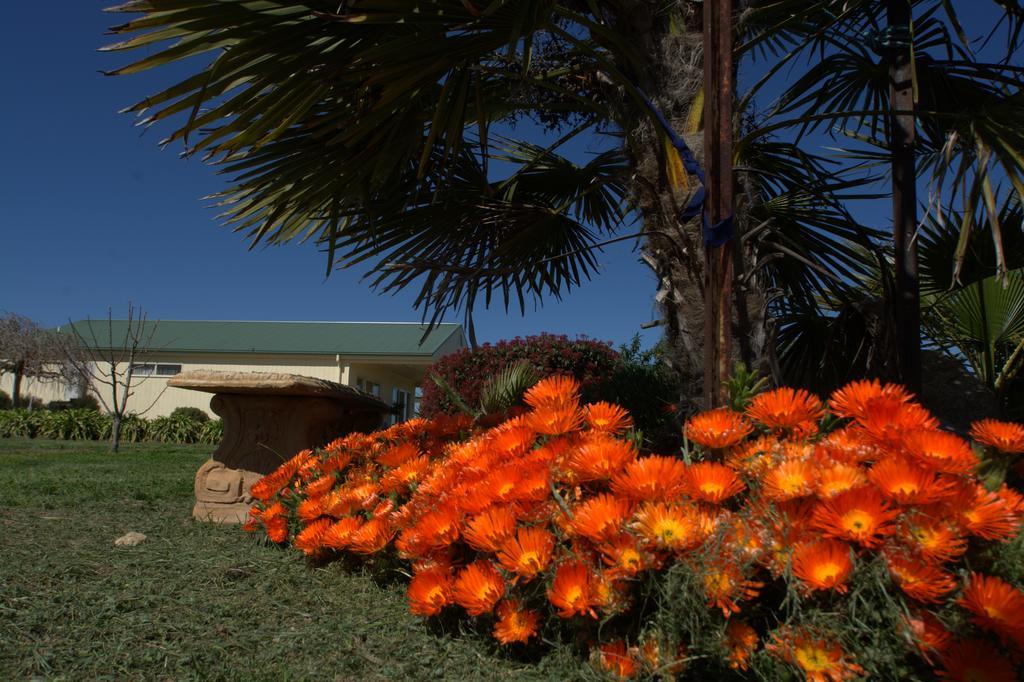 Milawa Muscat Retreat B&B Exterior photo